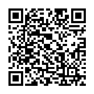 到时候在整个玄黄宇宙之中只怕几乎是可以横着走了二维码生成