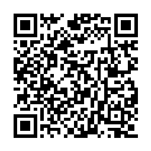 到时候天知道她会不会如约将河滩城交付给马文二维码生成