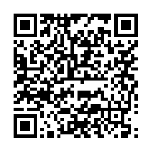 到时候天龙王朝和仙云王朝根本就不是我们凤岭王朝的对手二维码生成
