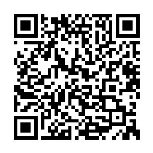 到时候就各家抬着尸体去钦差跟前恶心他去……二维码生成