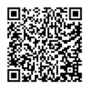 到时候就算秦宇元神踏入了地仙境界再加上此人也不是那些非人族地仙的对手二维码生成