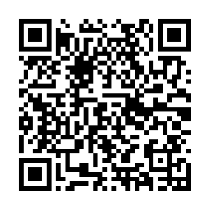 到时候很有可能会给整个青蛟一族带来巨大的灾难二维码生成