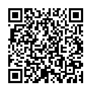 到时候我不敢保证自己能在笼子里同时杀这么多的证道境不是二维码生成