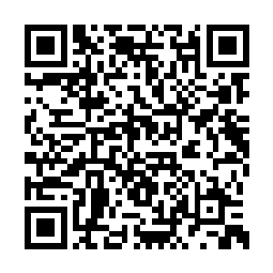 到时候我们不用费太大力就能攻占了京城跟辽东二维码生成