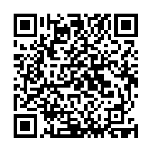 到时候我们就可以利用他们的身手为我们做更多的事情了二维码生成