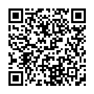到时候我会将伤害你的罪魁祸首交给你亲自处置二维码生成