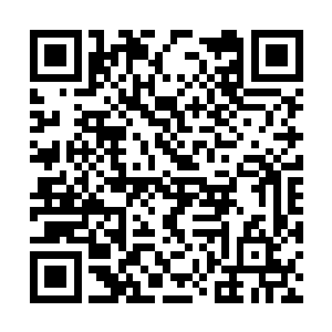 到时候我天龙宗就选择天圣星作为在仙界的驻地了二维码生成