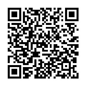 到时候整个地界所有界面青年俊彦都会汇集斗法二维码生成