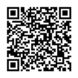 到时候留下二十个天妖和五百大妖保护我就可以了二维码生成