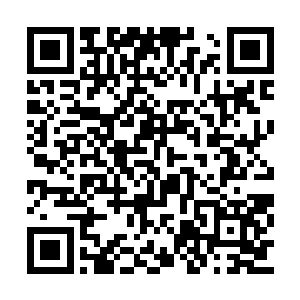 到时候相信你们对我们秦家的能耐会有所改观的二维码生成