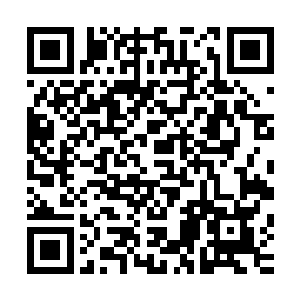 到时候看看你的爷爷怎么和剑士工会那帮家伙斗个你死我活吧二维码生成