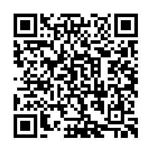 到时候看看能不能试着和张小凡一起拜入青云门二维码生成