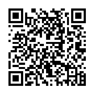到时候系统自然会将宿主所要的东西交到宿主手上二维码生成