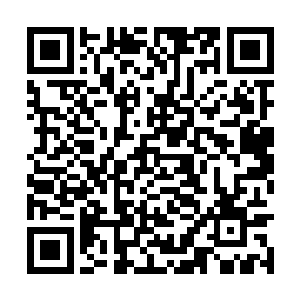 到时候西门吹雪要是以苏凡的生命为前提提出条件二维码生成