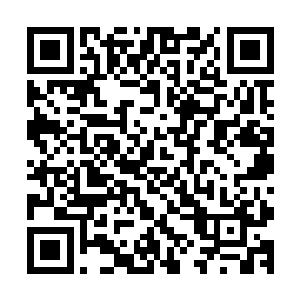 到时候要是引起古武世家还有外界的矛盾就不是一件好事情了二维码生成