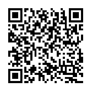 到时候让他去跟凉凉解释一下不就什么事都没有了二维码生成