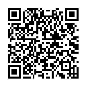 到时候让山谷外的这些人见上一面沾些福泽便够了二维码生成