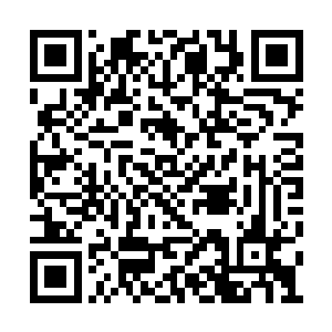 到时候辰家和自己的一些恩怨便可好好调查一番二维码生成