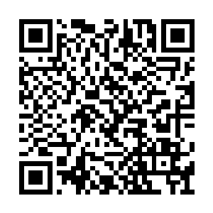 到时候还是会有一个人站出来带领人类抗衡鬼族二维码生成