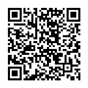 到时候还望龙堂主携座下弟子前往黑水海域一同见证二维码生成