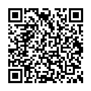 到时候那个人就要面临全天下所有佣兵的追杀了二维码生成