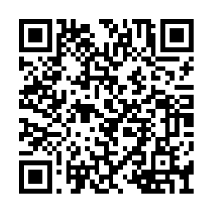 到时候那些人想要及时的赶到咖啡屋里救米家宣二维码生成