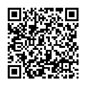 到时她拿到种了进去跟你种到你体内完全没区别啊二维码生成