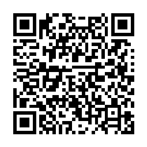 到时我倒要看看你这狗嘴里还能不能喷出象牙来~二维码生成