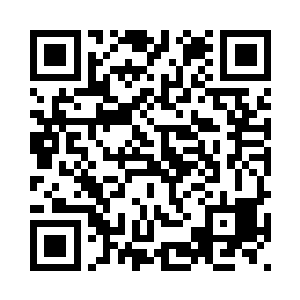 到时顺顺利利地参加你的婚礼就行二维码生成