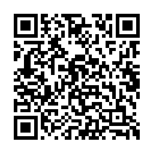 到是程氏姐妹那边顺来的几只耳坠子卖了三百两二维码生成