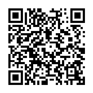 到最后众人见到一个个声名显赫的人物因此而陨落二维码生成