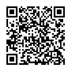 到最后就好像你不舍命就他就是你的不仁义不道德一样二维码生成