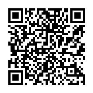 到最后是一百两百个剑灵……大家都眼巴巴的跟在苏落后面二维码生成