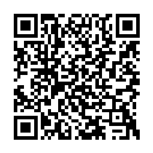 到最后识海里只剩下了两团无意识的精神力本质二维码生成