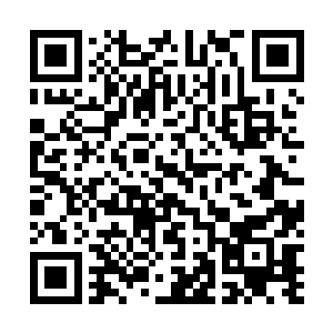 到最后贝海也不知道自家娃儿说的猪猪是个什么样的东西二维码生成