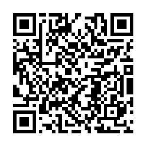 到最后还是严承悦带的人在外边敲门问要不要用餐二维码生成