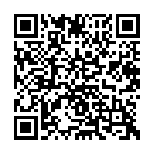 到最后这七百多个傀儡也被许紫烟收了四百多个二维码生成