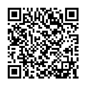 到来的八劫真仙们看到童老鬼竟差点就给强杀了二维码生成