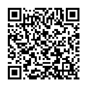 到现在他都不知道魏婷的背景到底的什么样子的二维码生成