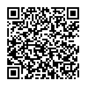 到现在她都不知道里面到底是什么玩意儿的一堆来自混沌支点的东西···二维码生成