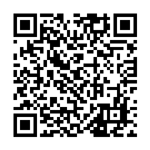 到现在对收虚风神王做小弟到不觉得那么非常必要了二维码生成