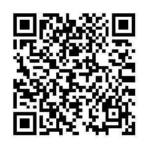 到现在还没有想明白秦宇为什么好好的会变成一具白骨二维码生成