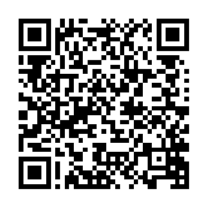 到现在隐隐拥有凌驾于其余任何一个家族两倍的力量二维码生成