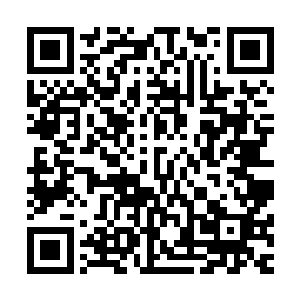 到目前为止丁二狗都没有明白仲枫阳为什么这个时候看到了他二维码生成