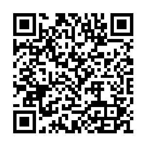 到看清流墨墨周围只有她自己一人后的迅速淡定二维码生成