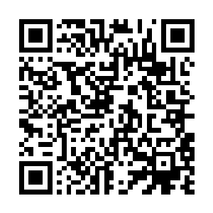 到达了当初颜洛儿下去的那片如同蜂窝般的无数坑二维码生成