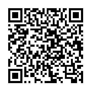 到那一掌拍到炼丹炉上的短短的不到一息的时间内二维码生成