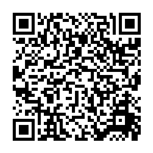 到那个时候我就可以在不损伤你师兄的身体情况下将那颗魔族种子吸收过来二维码生成