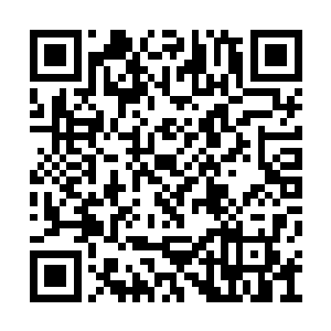 到那时克劳迪娅可以经常和我的兄弟们一起出来二维码生成