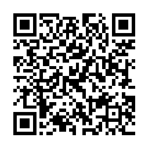 到那时军中将士又有谁人会心悦诚服地听从为父的调遣二维码生成